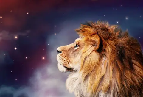 Özel Tasarım Aslan duvar kağıdı, EDK-TABLO-ASLAN-040