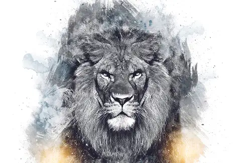 Özel Tasarım Aslan duvar kağıdı, EDK-TABLO-ASLAN-043