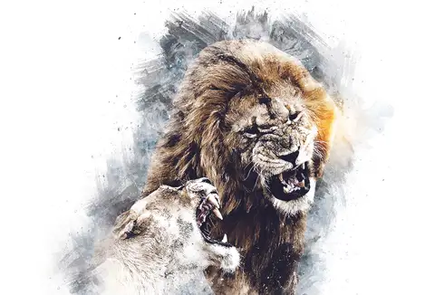 Özel Tasarım Aslan duvar kağıdı, EDK-TABLO-ASLAN-044
