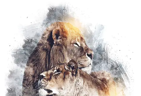 Özel Tasarım Aslan duvar kağıdı, EDK-TABLO-ASLAN-045