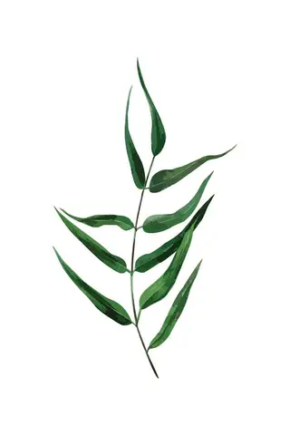 Özel Tasarım Yaprak duvar kağıdı, EDK-TABLO-YAPRAK-015