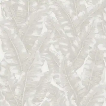 Adawall Vera duvar kağıdı, 1507-1