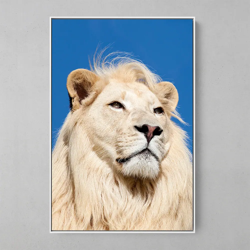 Aslan